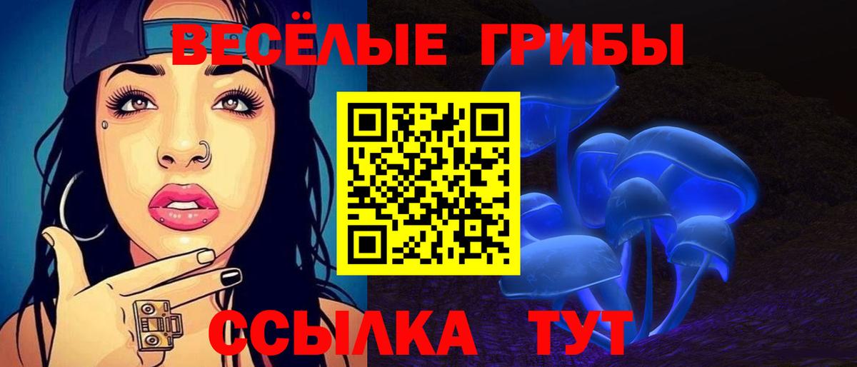 Галлюциногенные грибы Psilocybine cubensis Томск